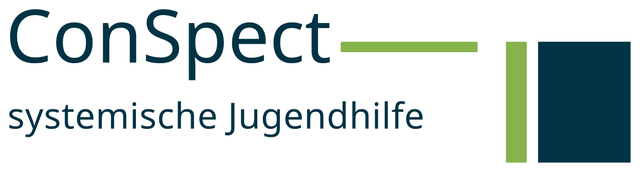 ConSpect systemische Jugendhilfe
